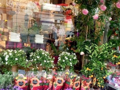 Kimia Fleurs