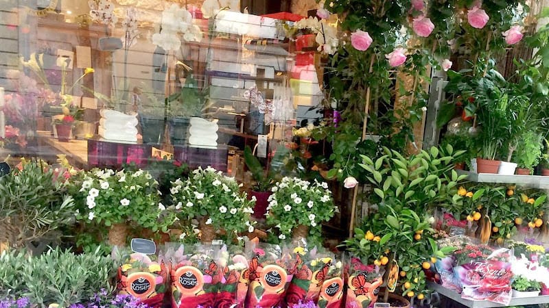 Kimia Fleurs