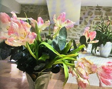 La Bohême Artisan Fleuriste