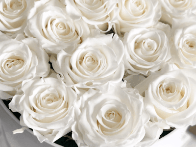 La Fleur Parisienne