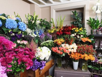 La Maison des Fleurs Boris Demay Cachan