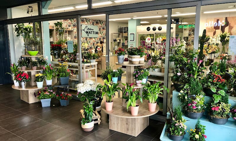 L'atelier MATTIM - galerie Lidl Salaise