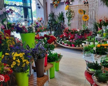 L'Atelier Provencal