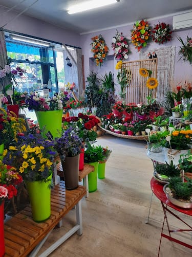 L'Atelier Provencal