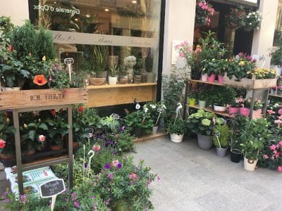 L'Atelier Vert, Artisan Fleuriste Lyon 2 ème