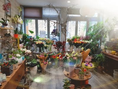 L'attrape fleurs