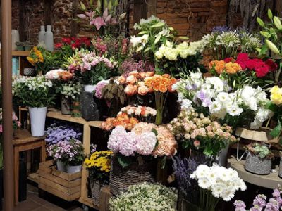 Le Coin Fleuri - Fleuriste Avignon