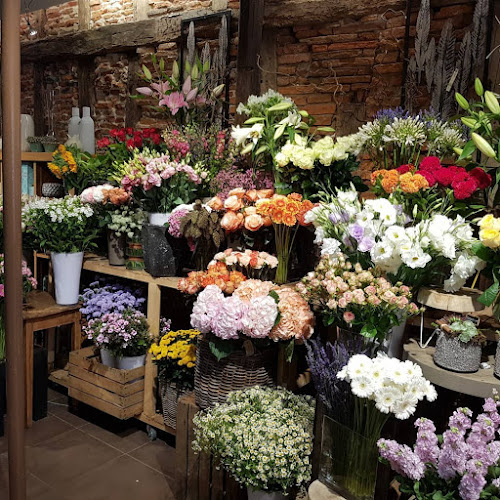 Le Coin Fleuri - Fleuriste Avignon
