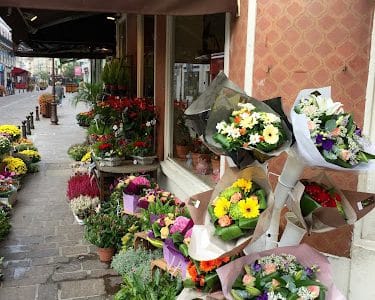 Le Jardin de Benoit