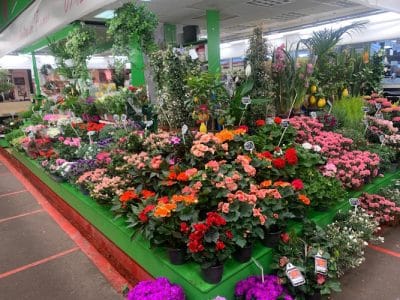 Le Jardin des Batignolles