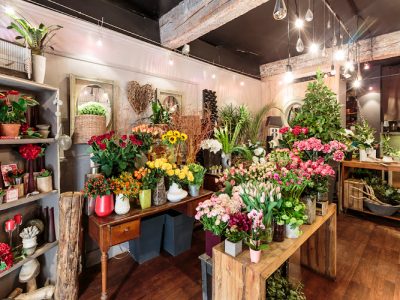 Le Jardin Saint Jérôme