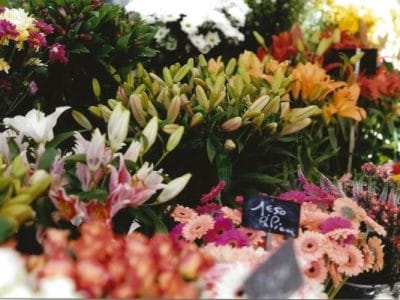 Le Kiosque à Fleurs Place Jean Jaurès