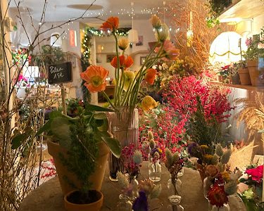 Les Bouquets D'Asters