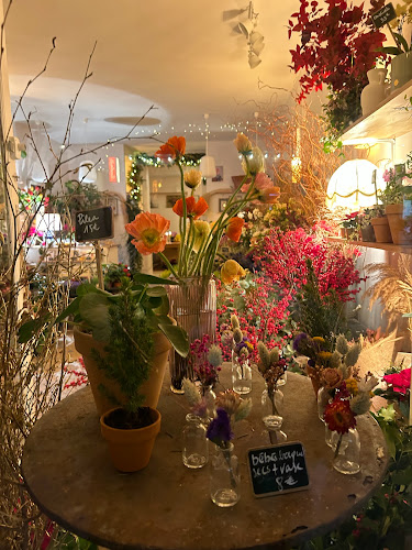 Les Bouquets D'Asters