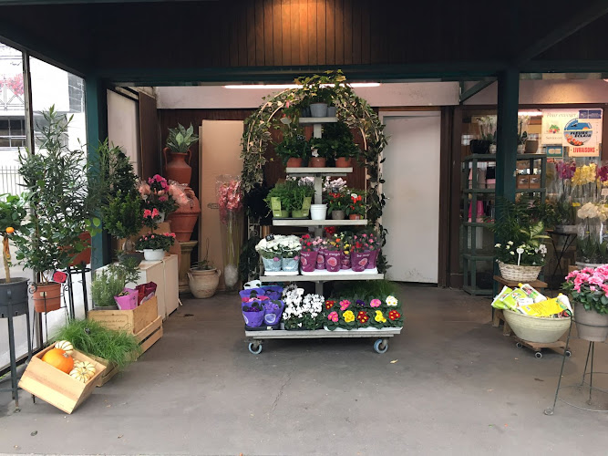 Les Fleurs de Marie-Antoinette (SARL Groszman)