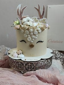 Les gâteaux d'Emilie