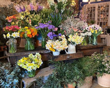 Les Imparfaits - Fleurs françaises de saison et plantes