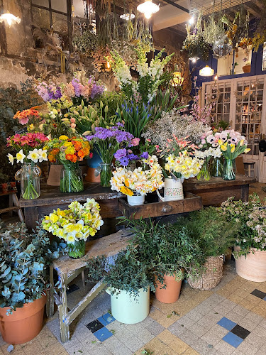 Les Imparfaits - Fleurs françaises de saison et plantes