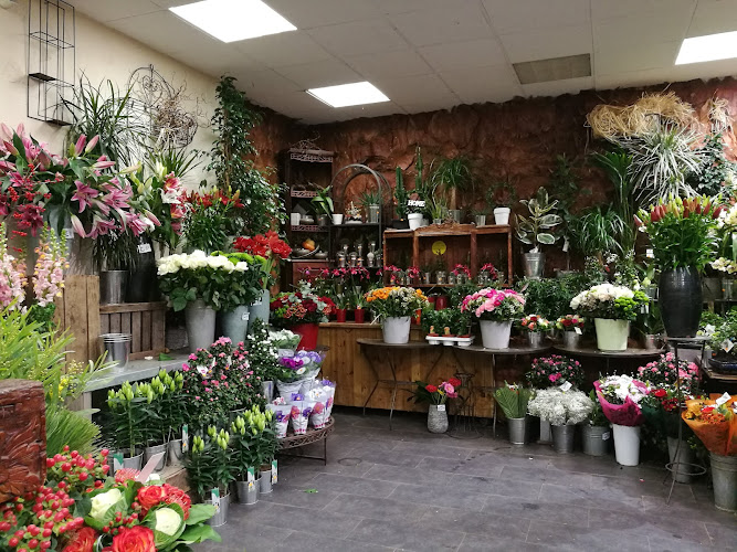 Les Jardins Suspendus