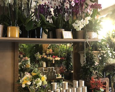 Les Pouces Verts - Paris 17