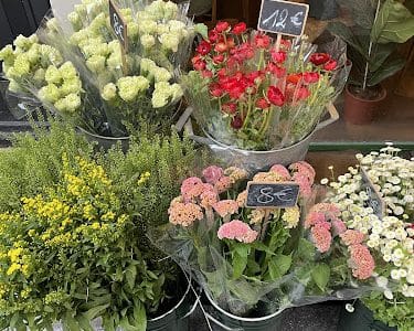 L'Histoire d'une Fleur - Paris 2 éme