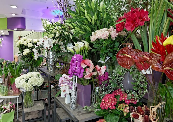L'Île aux Fleurs