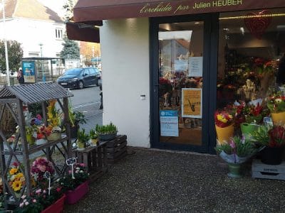 L'Orchidée Artisan Fleuriste