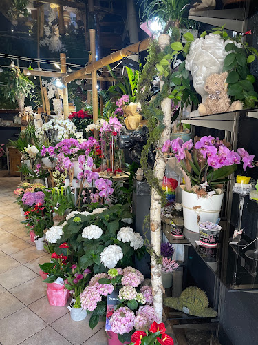 L'Orchidée