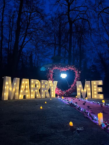 Love Story Strasbourg - Organisateurs de demande en mariage