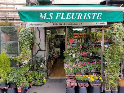 M.S Fleuriste
