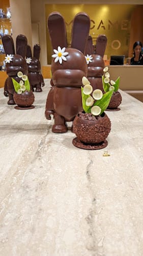 Madame Cacao, la chocolaterie par Christelle Brua