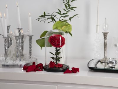 MADAME VEUT DES ROSES - Livraison de roses éternelles