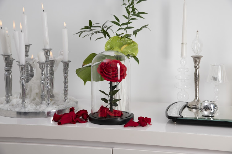 MADAME VEUT DES ROSES - Livraison de roses éternelles