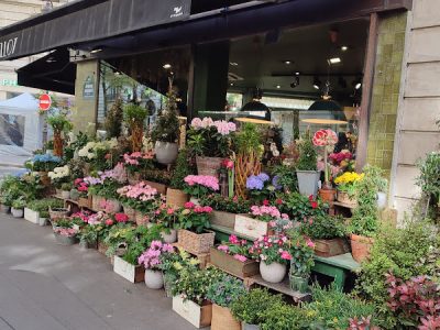 Maison Stéphane Bellot | Fleuriste Paris
