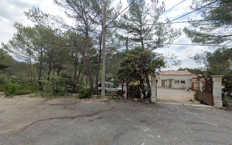 Marine Faron Photographe