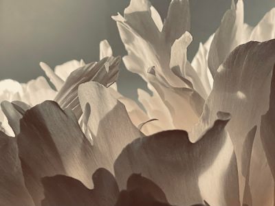 Mariya Tolpeko - Photographe & Vidéaste