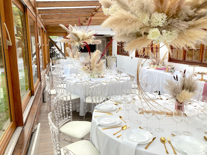 MDécor Group - créateur événementiel