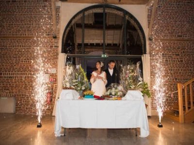 Mix'Elle Sono Animation