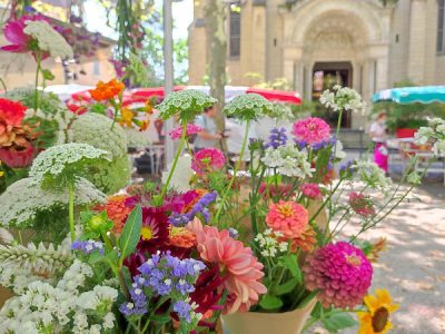 Mojo Ferme Florale - Producteurs de fleurs coupées