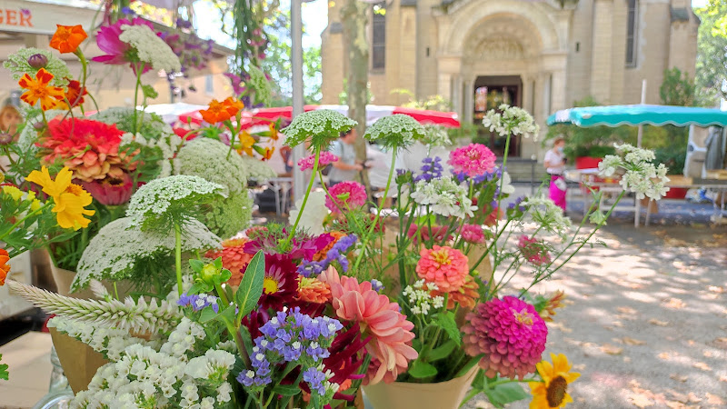 Mojo Ferme Florale - Producteurs de fleurs coupées