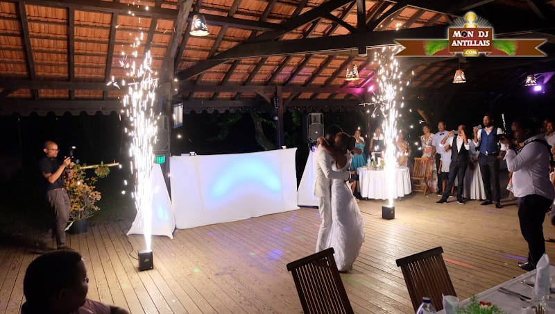 Mon Dj Antillais janvier flamme Marie