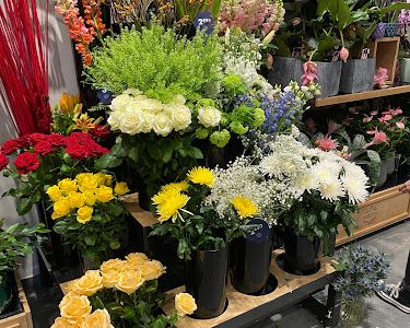 MONCEAU FLEURS 13012