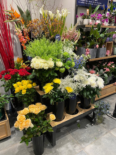 MONCEAU FLEURS 13012