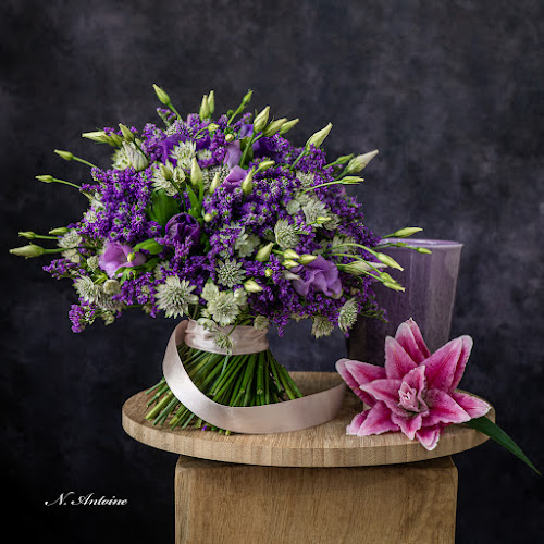 Nicolas Antoine | Fleuriste Montrouge