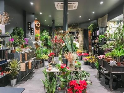 O' Fleurs de Magenta