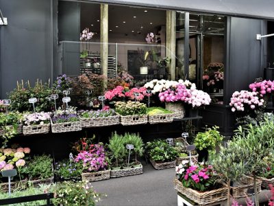 Olivier Fleuriste Lorette