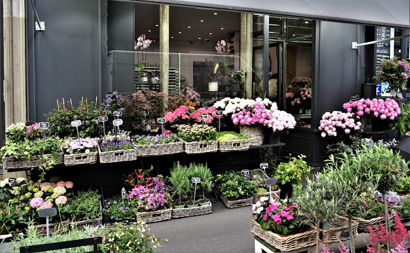 Olivier Fleuriste Lorette