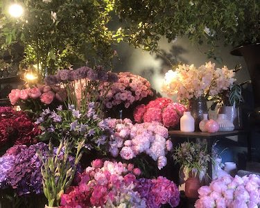 Oz garden