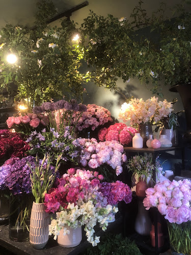 Oz garden