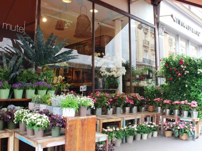 Pascal Mutel - Design Floral | Fleuriste Paris